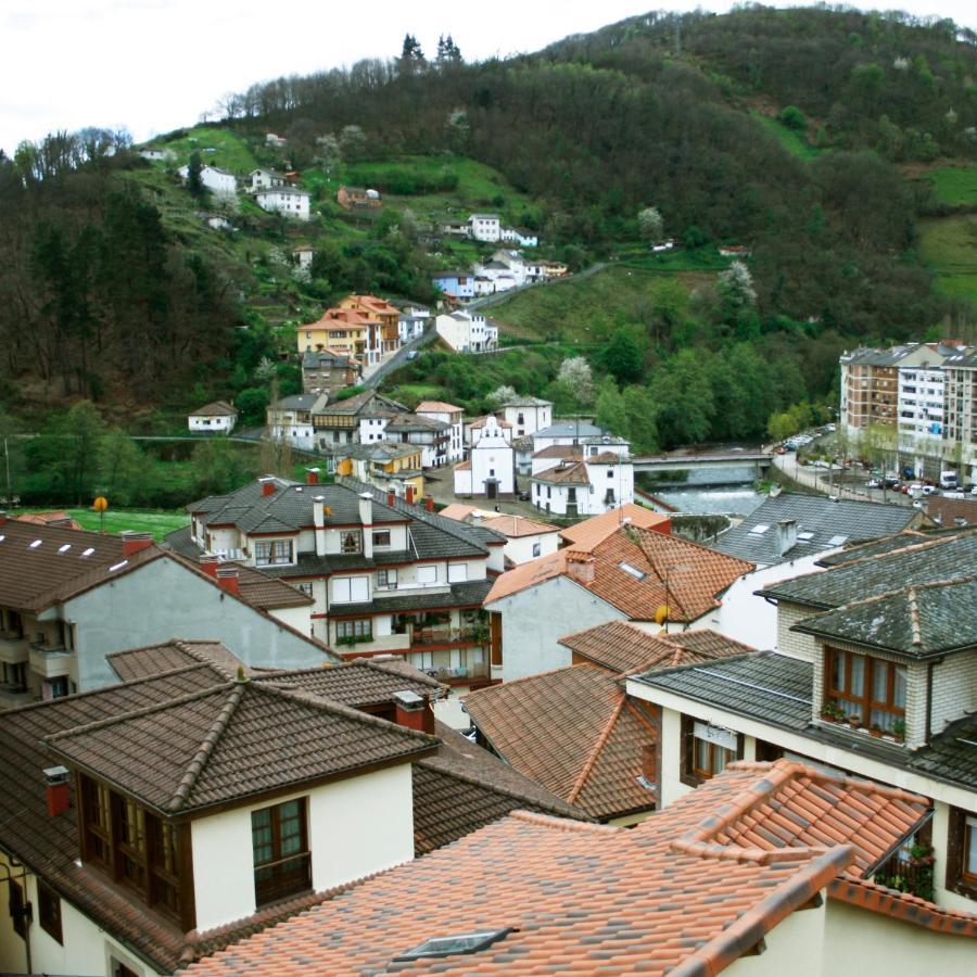 Ferienwohnung La Refierta Cangas De Narcea Exterior foto